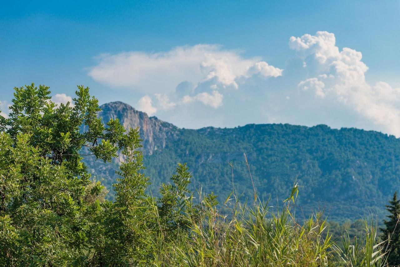 Finca Coster Польєнса Екстер'єр фото